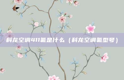 科龙空调411氟是什么（科龙空调氟型号）