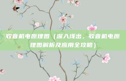 收音机电原理图（深入浅出，收音机电原理图解析及应用全攻略）