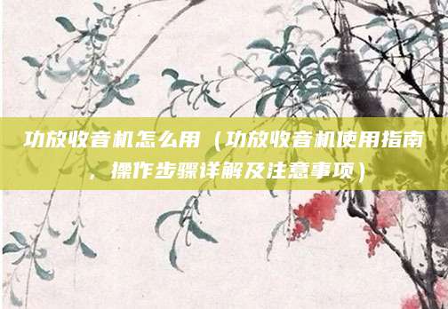 功放收音机怎么用（功放收音机使用指南，操作步骤详解及注意事项）