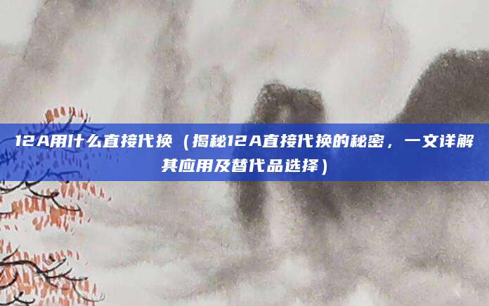 12A用什么直接代换(揭秘12A直接代换的秘密,一文详解其应用及替代品选择)