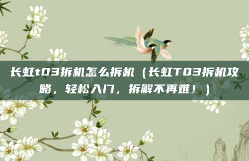 长虹t03拆机怎么拆机（长虹T03拆机攻略，轻松入门，拆解不再难！）