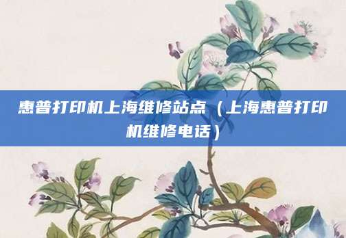 惠普打印机上海维修站点（上海惠普打印机维修电话）