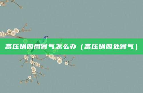 高压锅四周冒气怎么办（高压锅四处冒气）