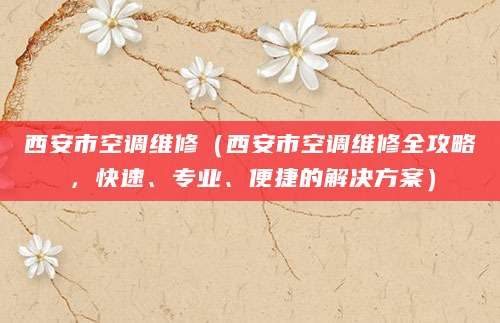 西安市空调维修(西安市空调维修全攻略,快速、专业、便捷的解决方案)