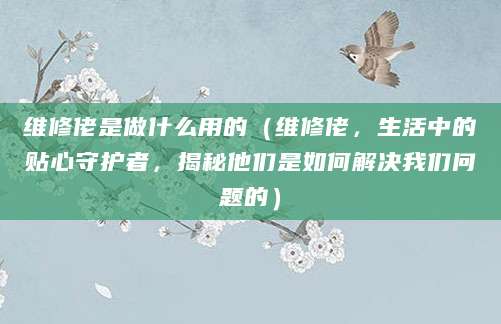 维修佬是做什么用的(维修佬,生活中的贴心守护者,揭秘他们是如何解决我们问题的)