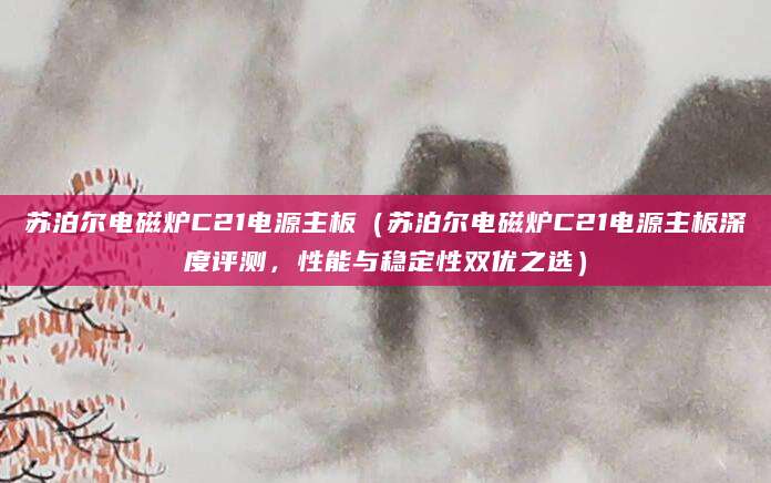 苏泊尔电磁炉C21电源主板（苏泊尔电磁炉C21电源主板深度评测，性能与稳定性双优之选）