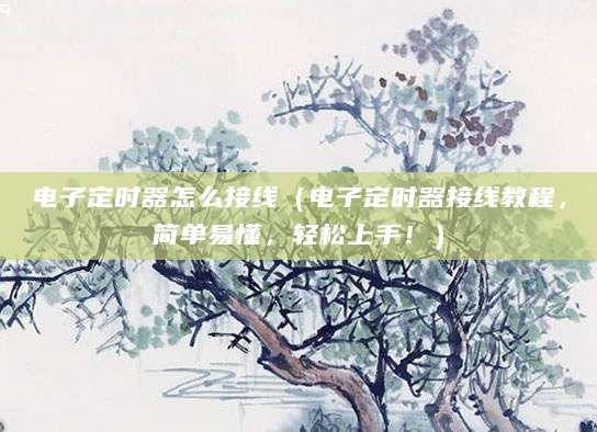电子定时器怎么接线（电子定时器接线教程，简单易懂，轻松上手！）