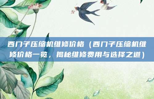 西门子压缩机维修价格（西门子压缩机维修价格一览，揭秘维修费用与选择之道）