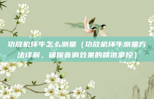功放机环牛怎么测量(功放机环牛测量方法详解,确保音响效果的精准掌控)