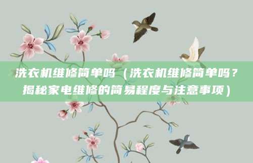 洗衣机维修简单吗(洗衣机维修简单吗?揭秘家电维修的简易程度与注意事项)
