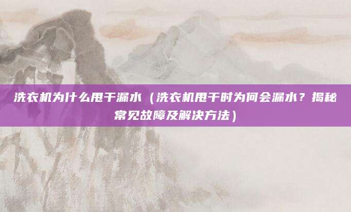 洗衣机为什么甩干漏水(洗衣机甩干时为何会漏水?揭秘常见故障及解决方法)