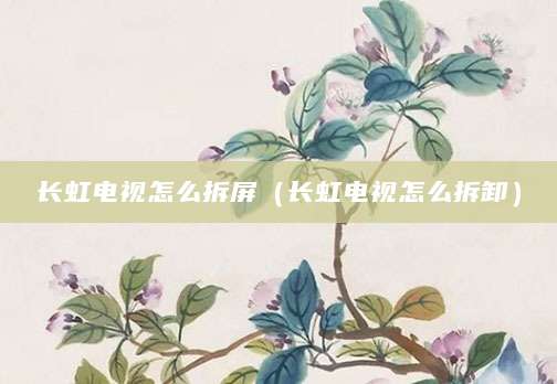 长虹电视怎么拆屏(长虹电视怎么拆卸)