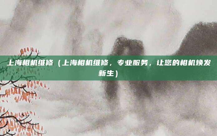 上海相机维修（上海相机维修，专业服务，让您的相机焕发新生）