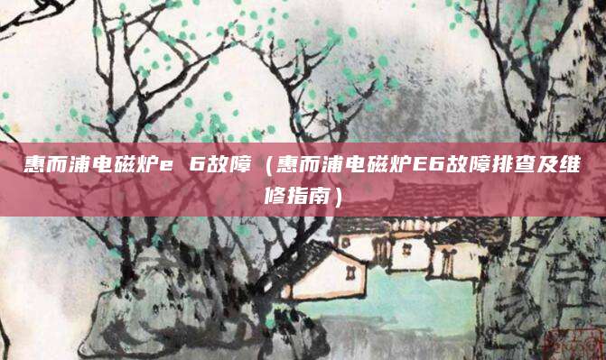惠而浦电磁炉e 6故障（惠而浦电磁炉E6故障排查及维修指南）