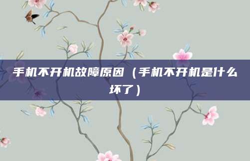 手机不开机故障原因(手机不开机是什么坏了)