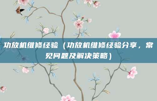 功放机维修经验（功放机维修经验分享，常见问题及解决策略）