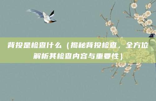 背投是检查什么（揭秘背投检查，全方位解析其检查内容与重要性）