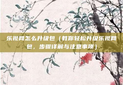 乐视网怎么升级包（教你轻松升级乐视网包，步骤详解与注意事项）