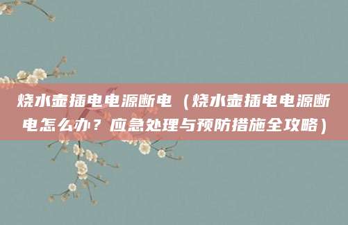烧水壶插电电源断电（烧水壶插电电源断电怎么办？应急处理与预防措施全攻略）