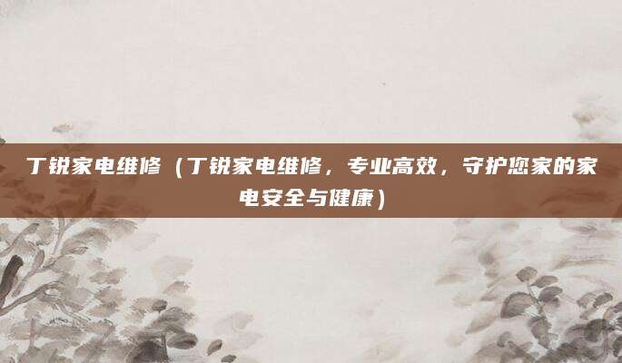 丁锐家电维修(丁锐家电维修,专业高效,守护您家的家电安全与健康)