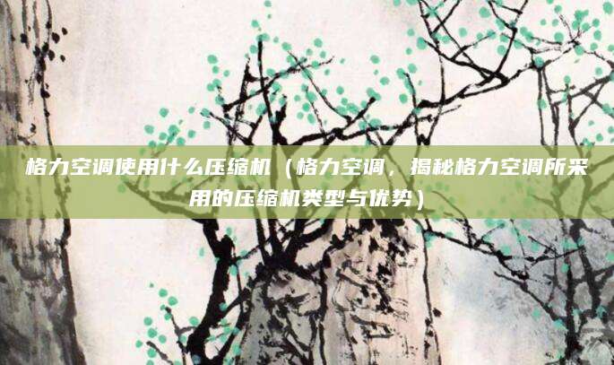 格力空调使用什么压缩机(格力空调,揭秘格力空调所采用的压缩机类型与优势)