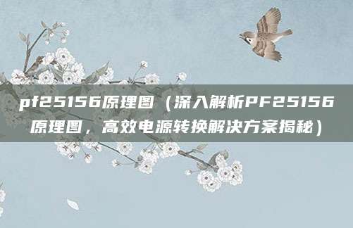 pf25156原理图（深入解析PF25156原理图，高效电源转换解决方案揭秘）