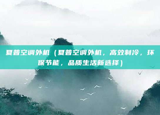 夏普空调外机(夏普空调外机,高效制冷,环保节能,品质生活新选择)