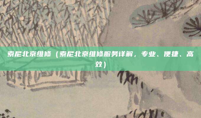 索尼北京维修（索尼北京维修服务详解，专业、便捷、高效）