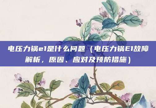 电压力锅e1是什么问题(电压力锅E1故障解析,原因、应对及预防措施)