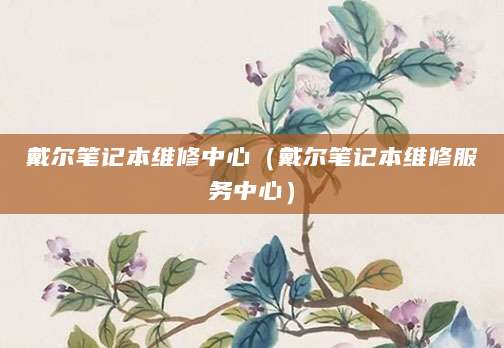 戴尔笔记本维修中心（戴尔笔记本维修服务中心）