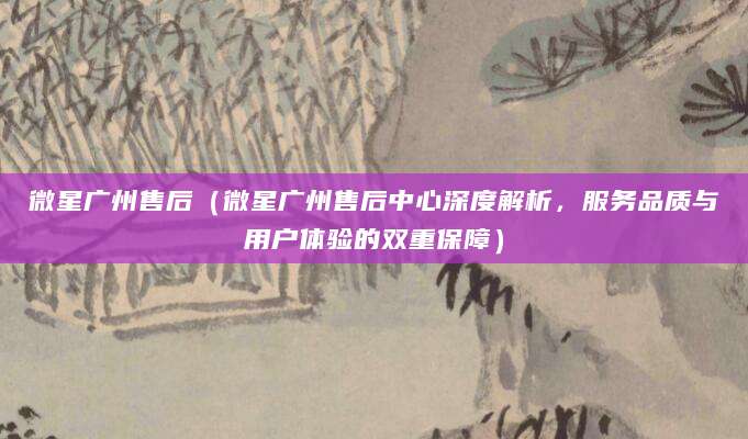 微星广州售后（微星广州售后中心深度解析，服务品质与用户体验的双重保障）