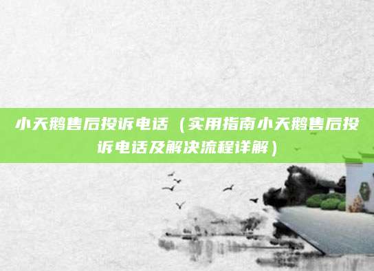 小天鹅售后投诉电话(实用指南小天鹅售后投诉电话及解决流程详解)