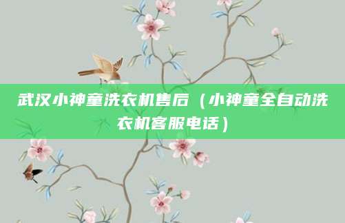 武汉小神童洗衣机售后(小神童全自动洗衣机客服电话)