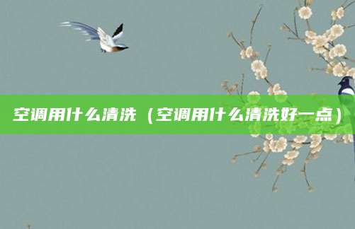 空调用什么清洗（空调用什么清洗好一点）