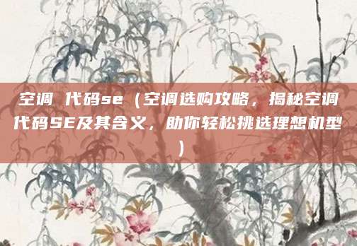 空调 代码se（空调选购攻略，揭秘空调代码SE及其含义，助你轻松挑选理想机型）