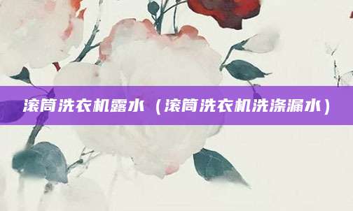 滚筒洗衣机露水(滚筒洗衣机洗涤漏水)