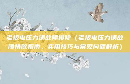 老板电压力锅故障排除(老板电压力锅故障排除指南,实用技巧与常见问题解析)