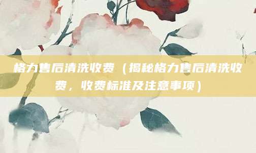 格力售后清洗收费(揭秘格力售后清洗收费,收费标准及注意事项)