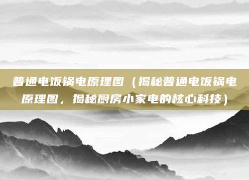 普通电饭锅电原理图（揭秘普通电饭锅电原理图，揭秘厨房小家电的核心科技）