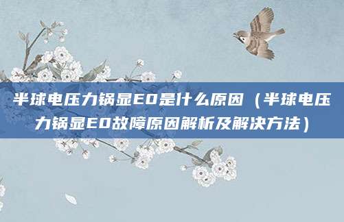 半球电压力锅显E0是什么原因(半球电压力锅显E0故障原因解析及解决方法)