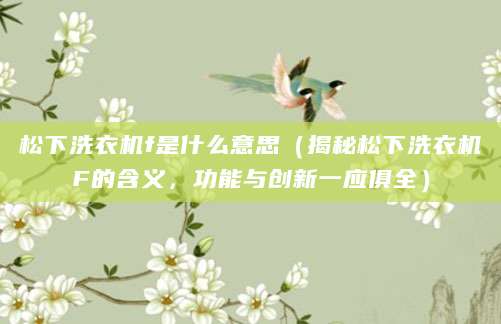 松下洗衣机f是什么意思（揭秘松下洗衣机F的含义，功能与创新一应俱全）